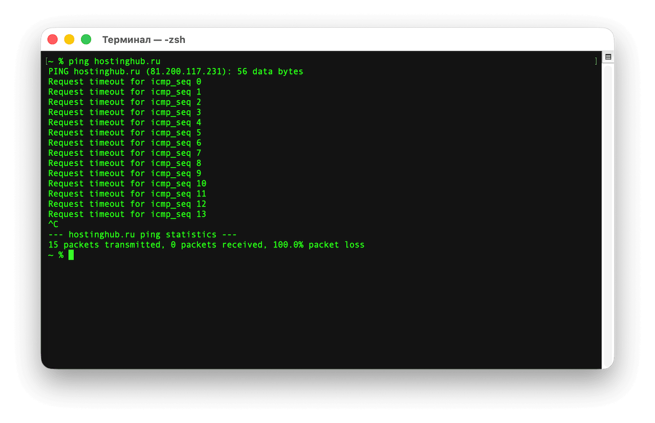 Ping в терминале macOS 