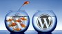 Перенос WordPress-сайт на новый хостинг